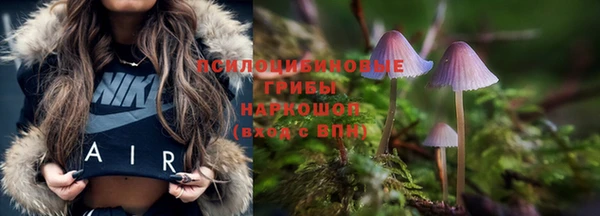 шишки Арсеньев