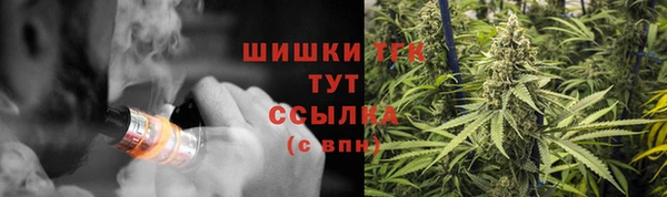 шишки Арсеньев