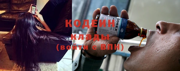 шишки Арсеньев