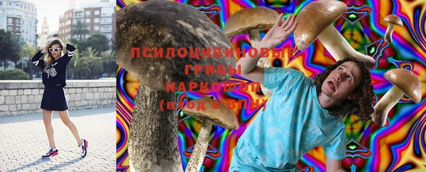 прущая мука Армянск