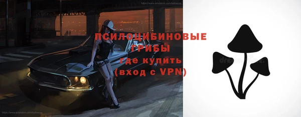 шишки Арсеньев