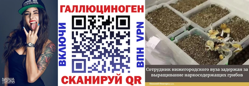 дарк нет клад Пошехонье Галлюциногенные грибы MAGIC MUSHROOMS